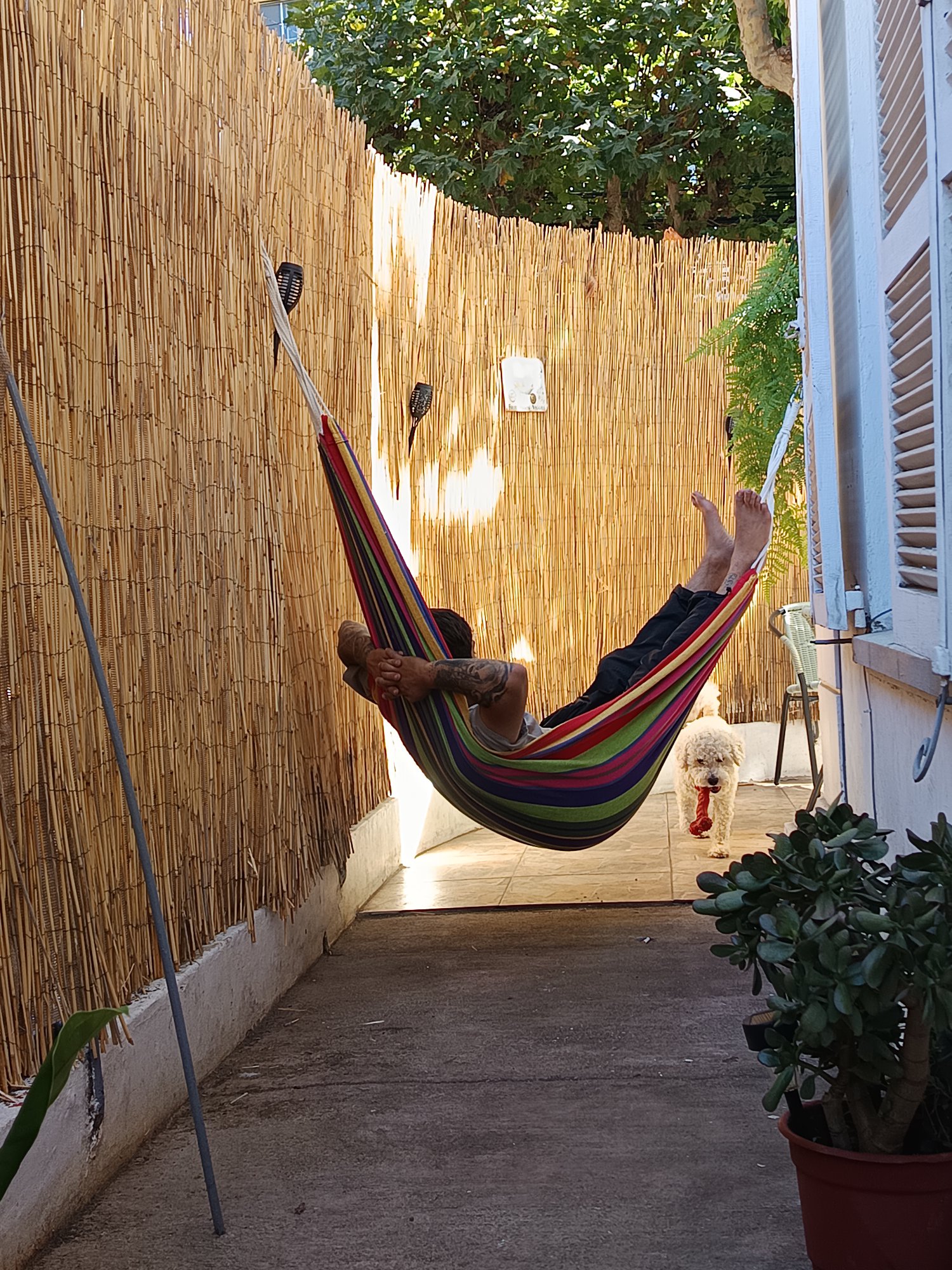 Hamaca en el jardín